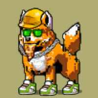 DogePunks #1995