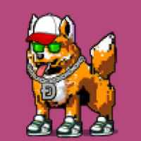 DogePunks #506