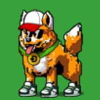 DogePunks #3244