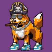 DogePunks #2060