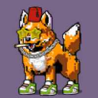 DogePunks #1569