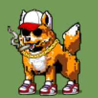 DogePunks #1815