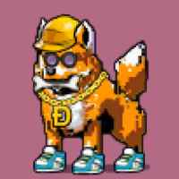 DogePunks #563