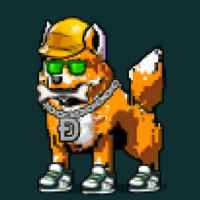 DogePunks #983