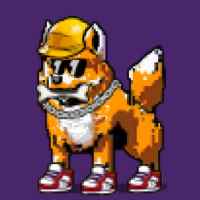 DogePunks #4548