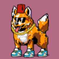 DogePunks #344