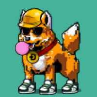 DogePunks #1674