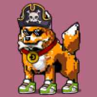 DogePunks #2934