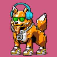 DogePunks #1047