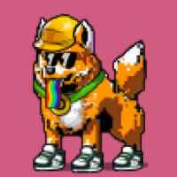DogePunks #4947