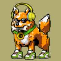 DogePunks #4197