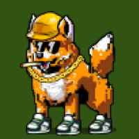 DogePunks #1164