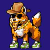 DogePunks #2145