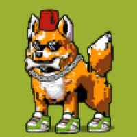 DogePunks #2731