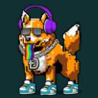 DogePunks #928
