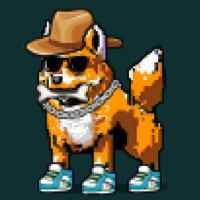 DogePunks #4952