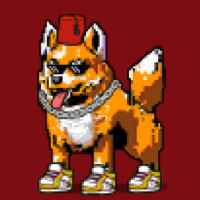 DogePunks #1502