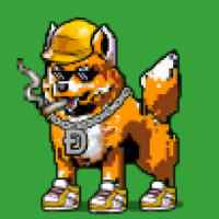 DogePunks #227