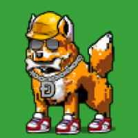 DogePunks #4684