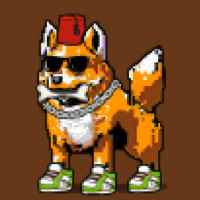 DogePunks #3138