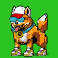 DogePunks #3110