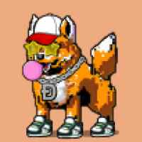 DogePunks #660