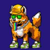 DogePunks #2311