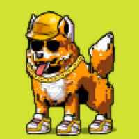 DogePunks #3855