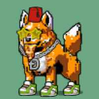 DogePunks #4035