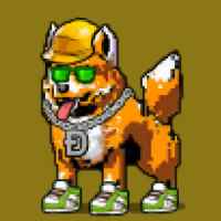 DogePunks #2521