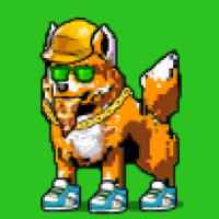 DogePunks #3695