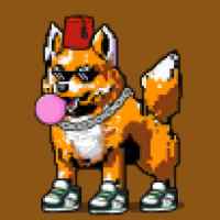 DogePunks #1616