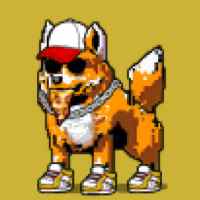DogePunks #4373