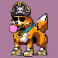 DogePunks #4295