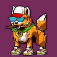 DogePunks #3349