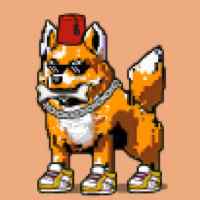 DogePunks #3200
