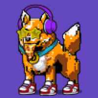 DogePunks #1289