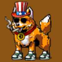 DogePunks #4282