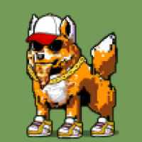 DogePunks #4887