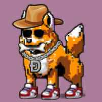 DogePunks #3351