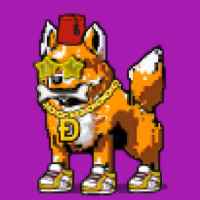 DogePunks #2755