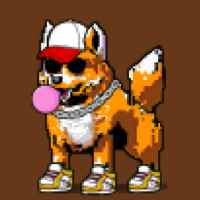 DogePunks #3774
