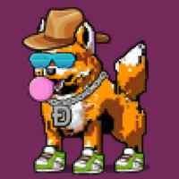 DogePunks #2094