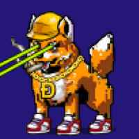 DogePunks #2067