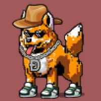 DogePunks #4163