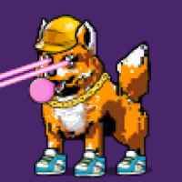 DogePunks #2544