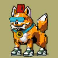 DogePunks #1187