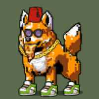 DogePunks #751