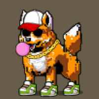 DogePunks #312