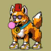 DogePunks #518